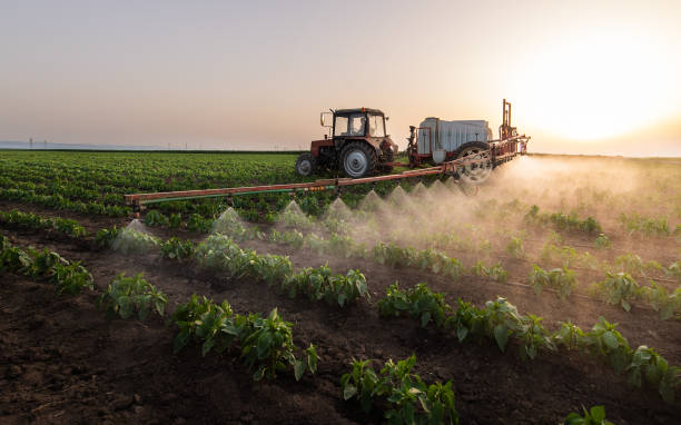 Professional Pest Control in Lone Oak, TN