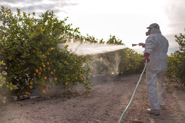 Best Residential Pest Control  in Lone Oak, TN