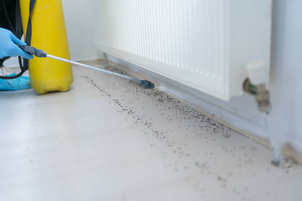 Best Exterminator Services  in Lone Oak, TN